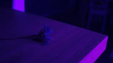 Задник к фильму "Centaurea" #874735