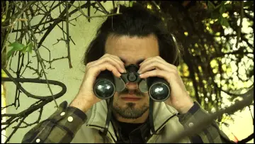 Задник к фильму "O Observador de Aves" #570858