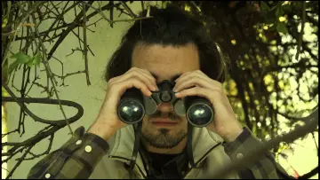 Задник к фильму "O Observador de Aves" #570860