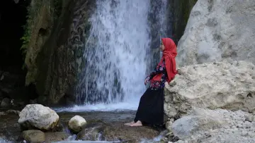 Задник к фильму "خواب بلوط‌های وحشی" #1572616