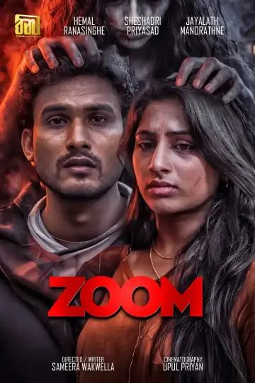 ZOOM постер