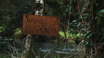 Задник к фильму "El Cabezudo" #964777