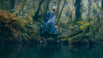 Задник к фильму "La forêt d