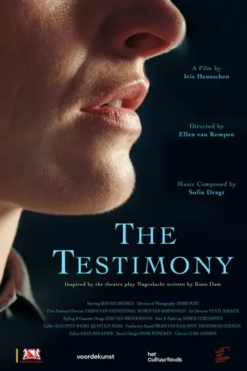 The Testimony постер