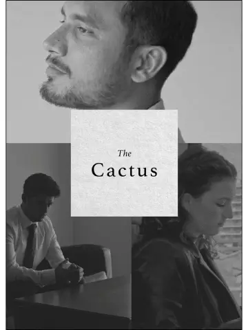 Постер к фильму "The Cactus" #1649095