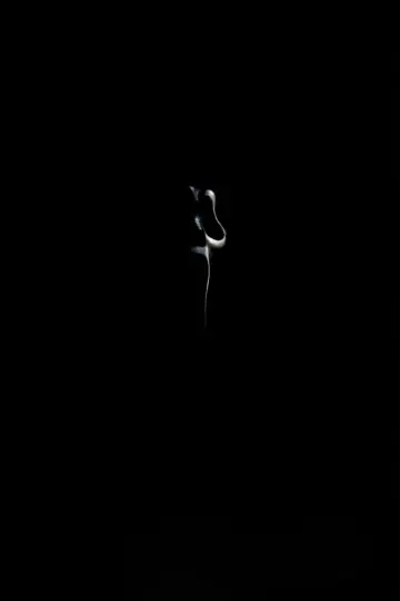 Постер к фильму "Scream: Short Film" #1822551