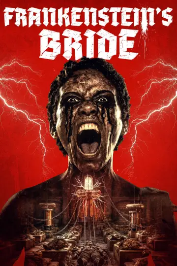 Постер к фильму "Frankenstein