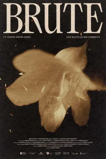 Brute постер