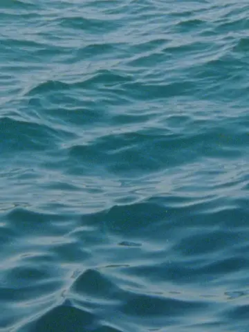 Постер к фильму "Water Diary" #777856