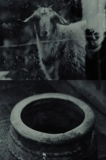 Though The Flock Shall Be Cut Off From The Fold постер