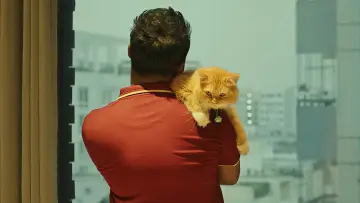 Задник к фильму "Love Sitter" #773115