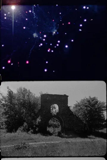 Постер к фильму "Forgetting" #781033