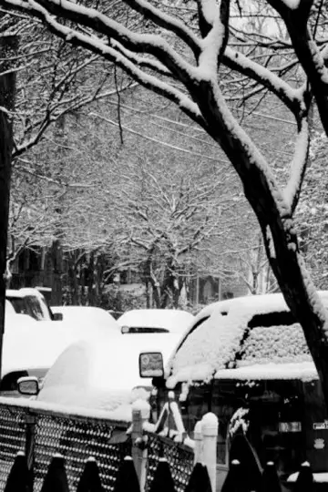 Goodbye, Snoball постер