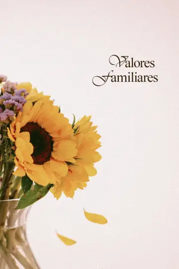 Valores Familiares постер