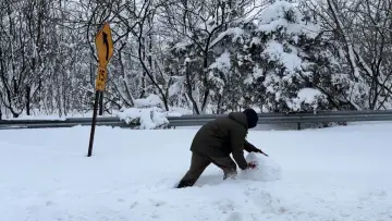 Задник к фильму "Snowday" #778160