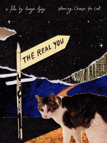 Постер к фильму "The Real You" #781654