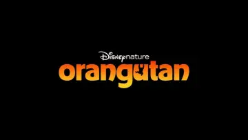 Задник к фильму "Orangutan" #798700