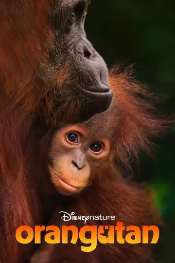 Постер к фильму "Orangutan" #798701