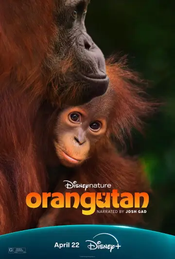 Постер к фильму "Orangutan" #798702