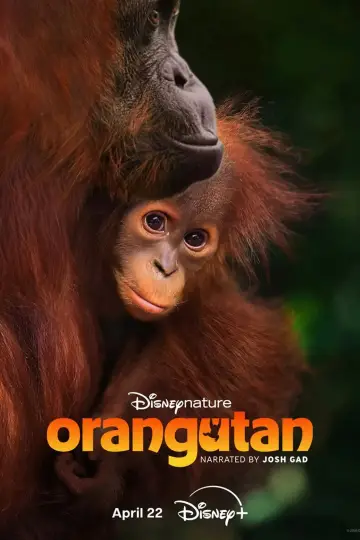 Постер к фильму "Orangutan" #798703