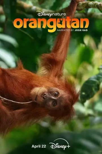 Постер к фильму "Orangutan" #798704