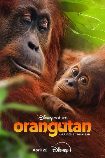Постер к фильму "Orangutan" #798705