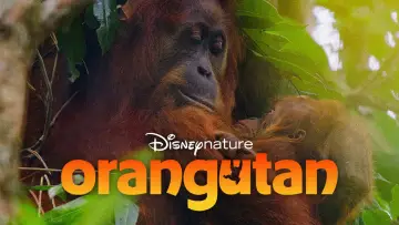 Задник к фильму "Orangutan" #817525