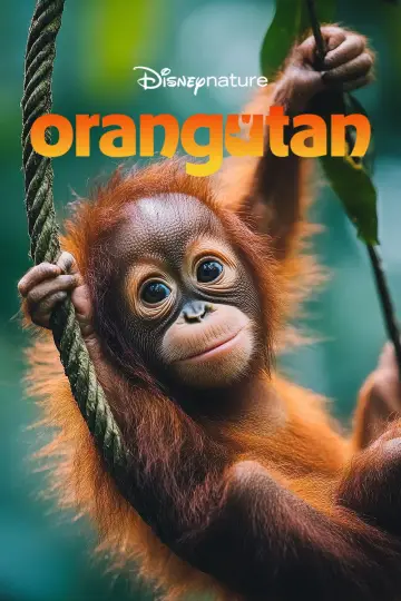 Постер к фильму "Orangutan" #817531