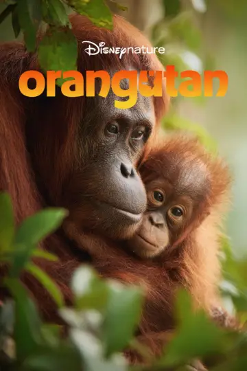 Постер к фильму "Orangutan" #817532