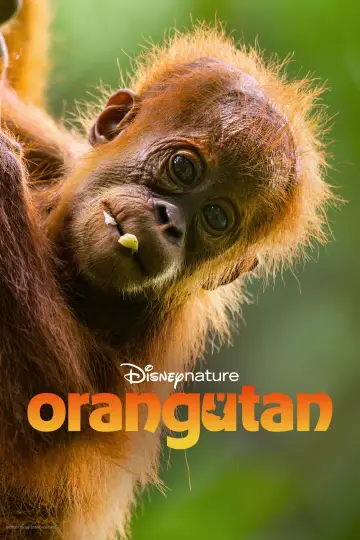Постер к фильму "Orangutan" #817533