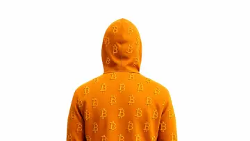 Задник к фильму "Finding Satoshi" #818644