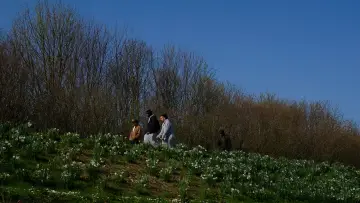 Задник к фильму "Le cratère des Hautes-Bruyères" #794808