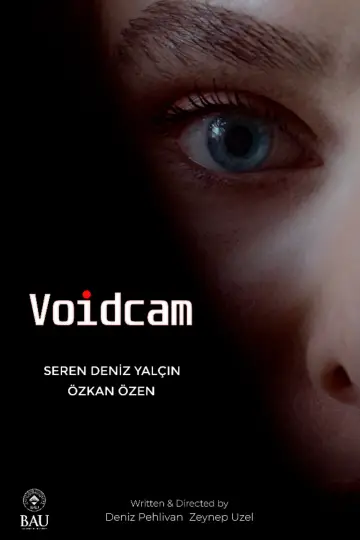 Voidcam постер