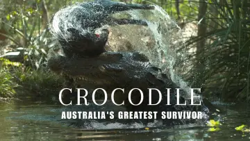 Задник к фильму "Crocodile: Australia