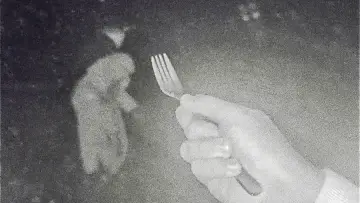 Задник к фильму "Pet Bunny" #776158