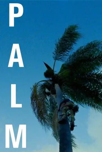 Постер к фильму "Palm" #843532