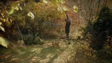 Задник к фильму "Bin im Garten" #1142571