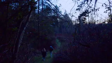 Задник к фильму "What