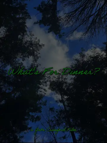 Постер к фильму "What