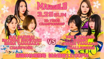 Задник к фильму "〜高須クリニックpresents〜靖国神社奉納プロレス「マリーゴールド大和神州女祭り」" #775580