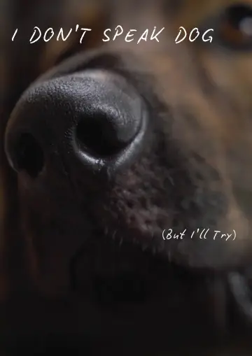 Постер к фильму "I Don