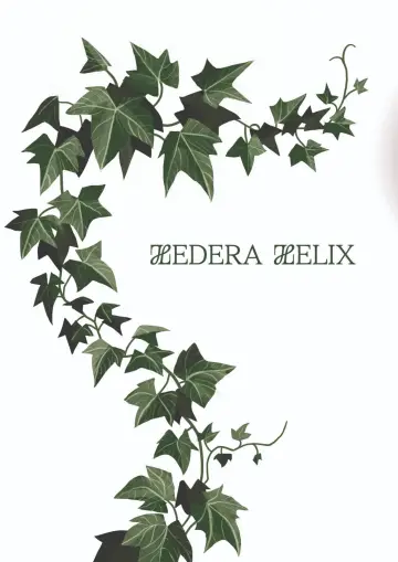 Постер к фильму "Hedera Helix" #773963