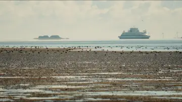 Задник к фильму "Föhr - 5 Meter über Null" #779113