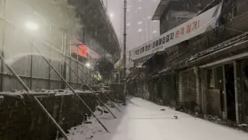Задник к фильму "관리처분계획—미아리 텍사스 편" #790832