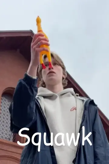 Squawk постер