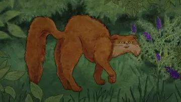 Задник к фильму "La Comète" #1177287