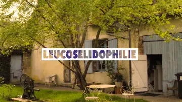 Задник к фильму "Leucosélidophilie" #794775