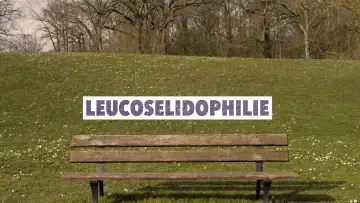 Задник к фильму "Leucosélidophilie" #794779