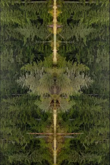 Mirrorpond постер