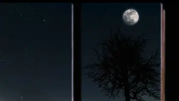Задник к фильму "Moon Town" #964852